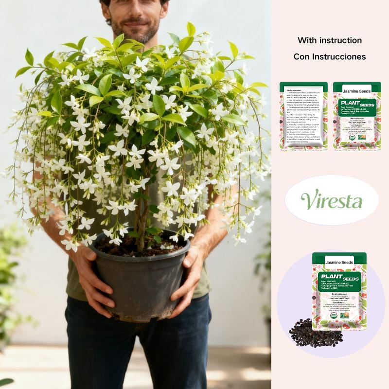 100 Non-GMO Fragrant Climbing Jasmine Seeds – Wish Trader