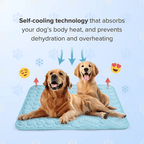 🔥🔥Hot Sale 🧊Dog Cooling Mat (4x more effective)
