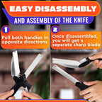 ✂2 in 1 Kitchen Scissors– Stainless Steel Blade & Plastic Cutting Board Scissors