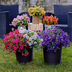 💐 UV-Resistant Colorful Artificial Flowers – 49% OFF Today Only 🌸