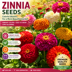 100-Day Bloom Mixed Zinnia Seeds – Easy-Grow Colorful Flowers for Sunny Gardens