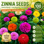 100-Day Bloom Mixed Zinnia Seeds – Easy-Grow Colorful Flowers for Sunny Gardens
