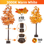 6FT LED Artificial Maple Tree, 160 Warm White Lights Fall Decor Tree with Orange Leaves, Knock-Down Lighted Maple Tree for Thanksgiving Halloween Indoor Outdoor Autumn Home Decor