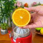 🚚Free Shipping🔥2026 Portable USB Rechargeable Electric Lemon Juicer